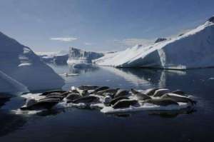 AntarcticExpeditionavontuur3